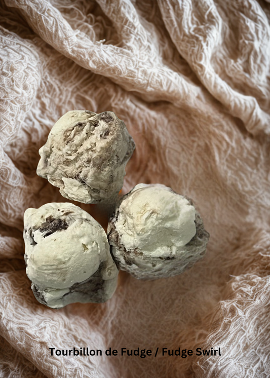 Fudge Swirl
